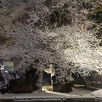 IMG-444358adc416d5d7eb9c485ed5e1a70b-V